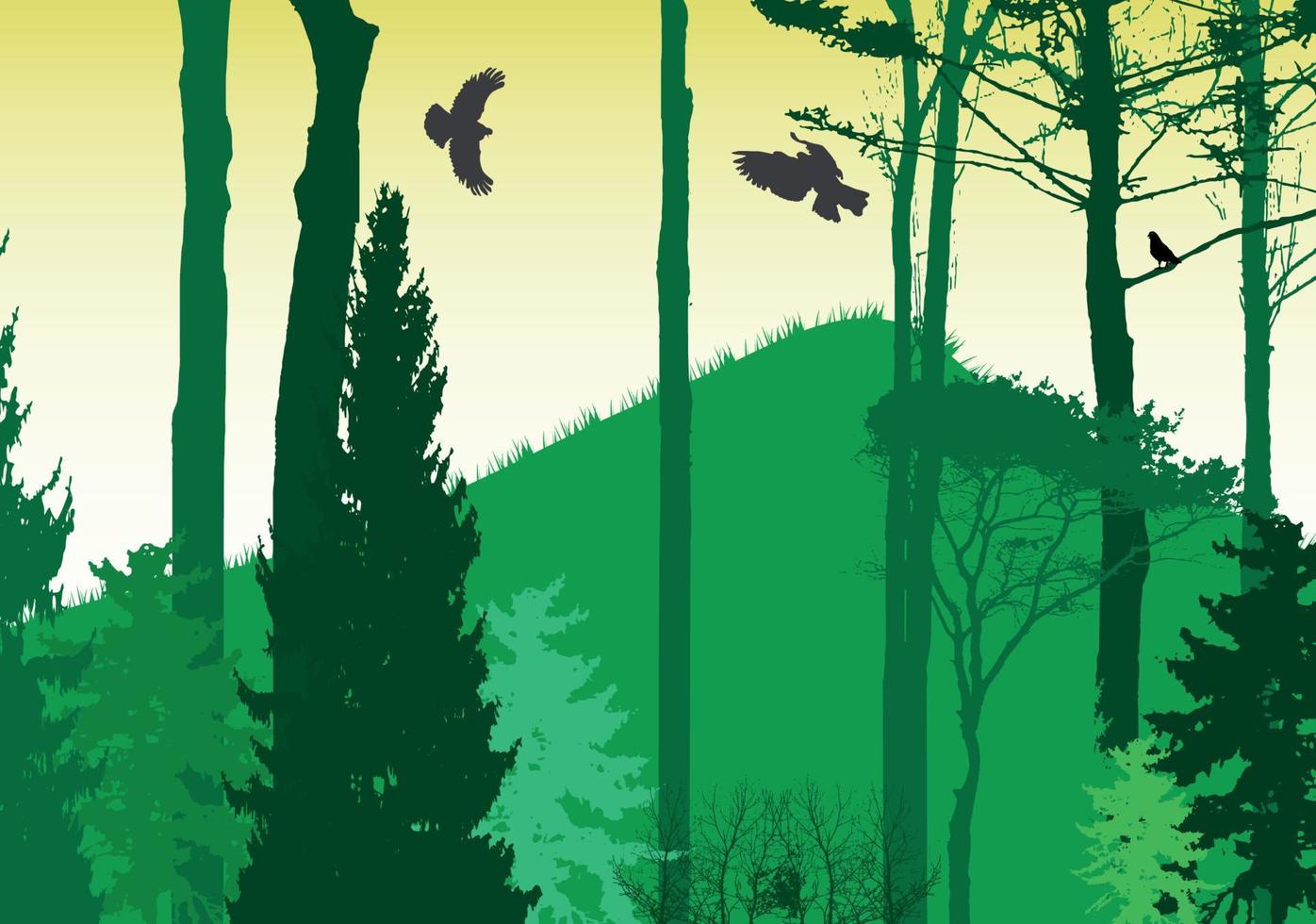 Image of Nature. Tree Silhouette. Vector Illustration.