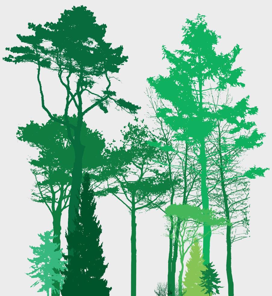 imagen de la naturaleza. silueta de árbol. banner ecológico. ilustración vectorial. vector