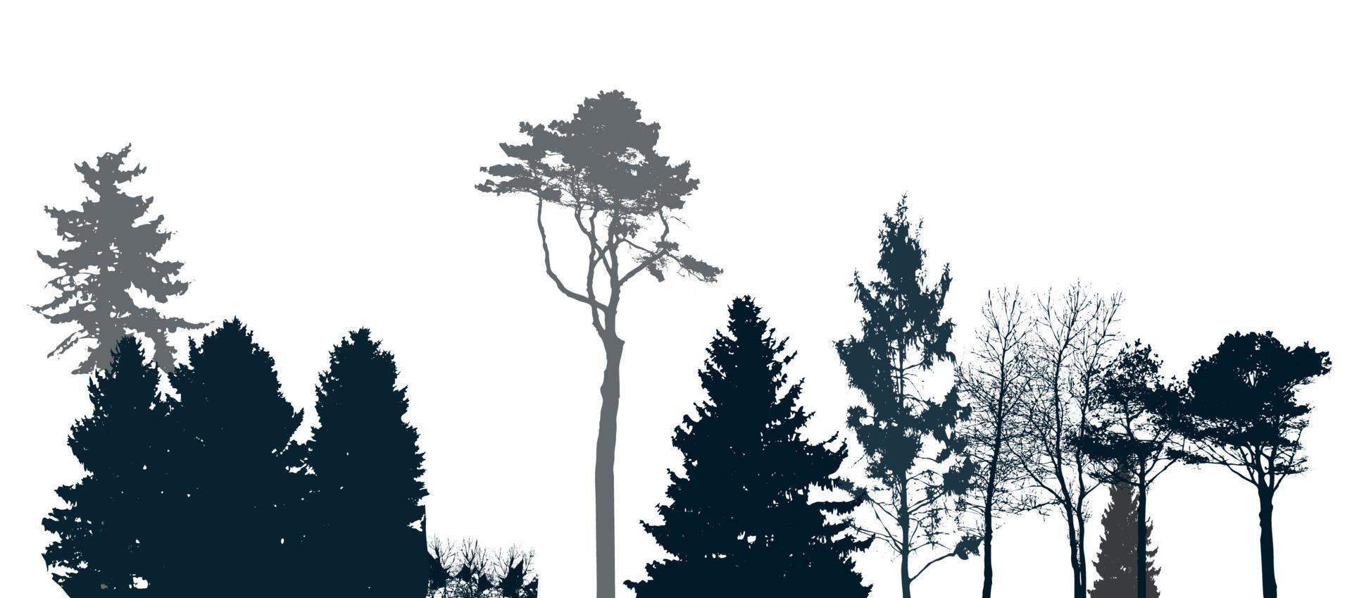 imagen de la naturaleza. silueta de árbol. banner ecológico. ilustración vectorial. vector