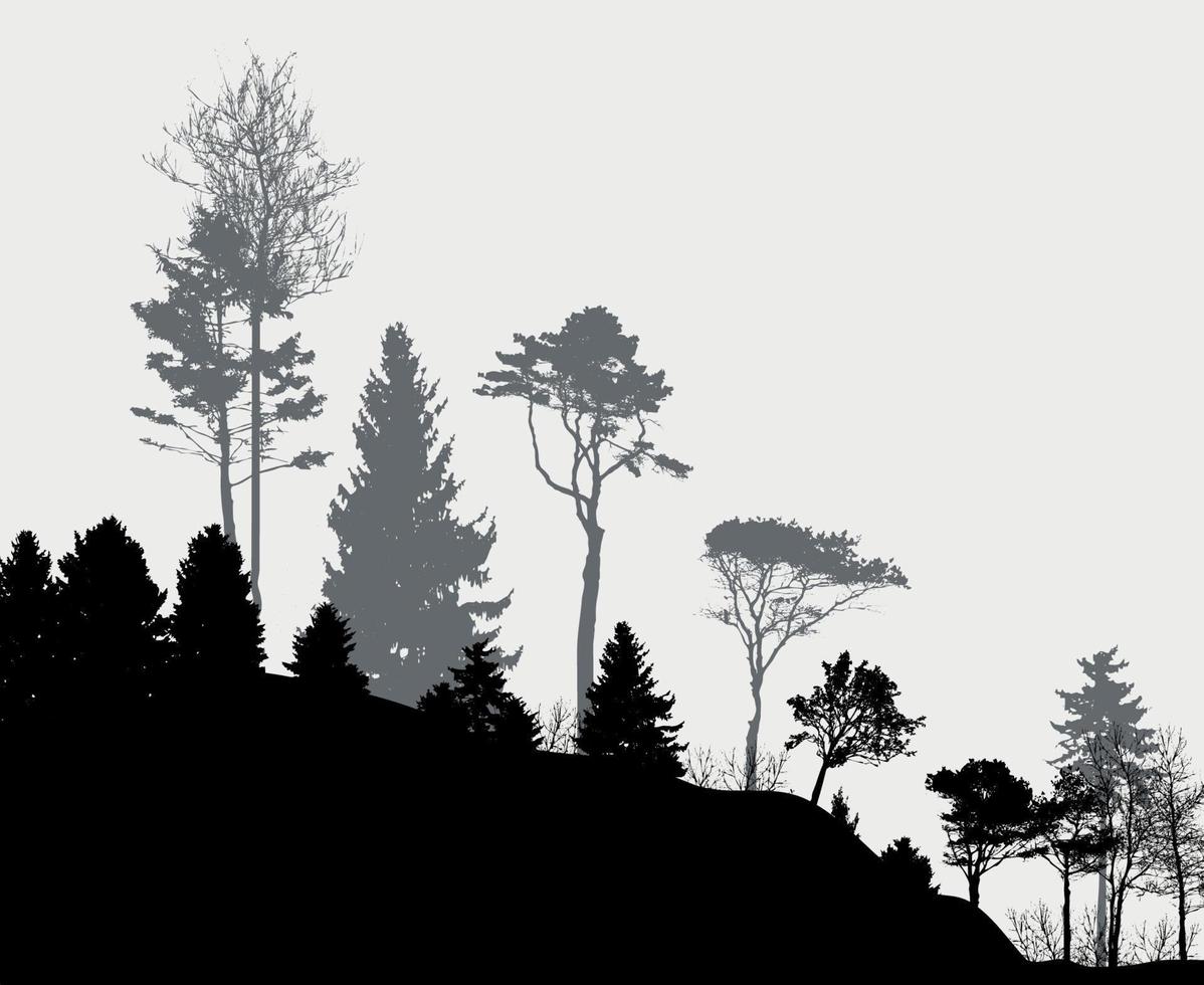 imagen de la naturaleza. silueta de árbol. banner ecológico. ilustración vectorial. vector