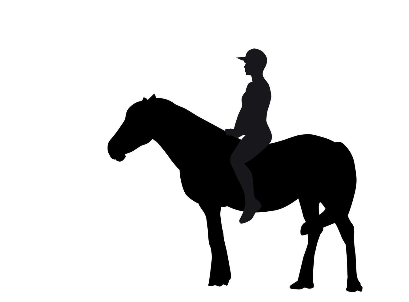 Silhouette of the Rider on the Horse. Vector Illustration.