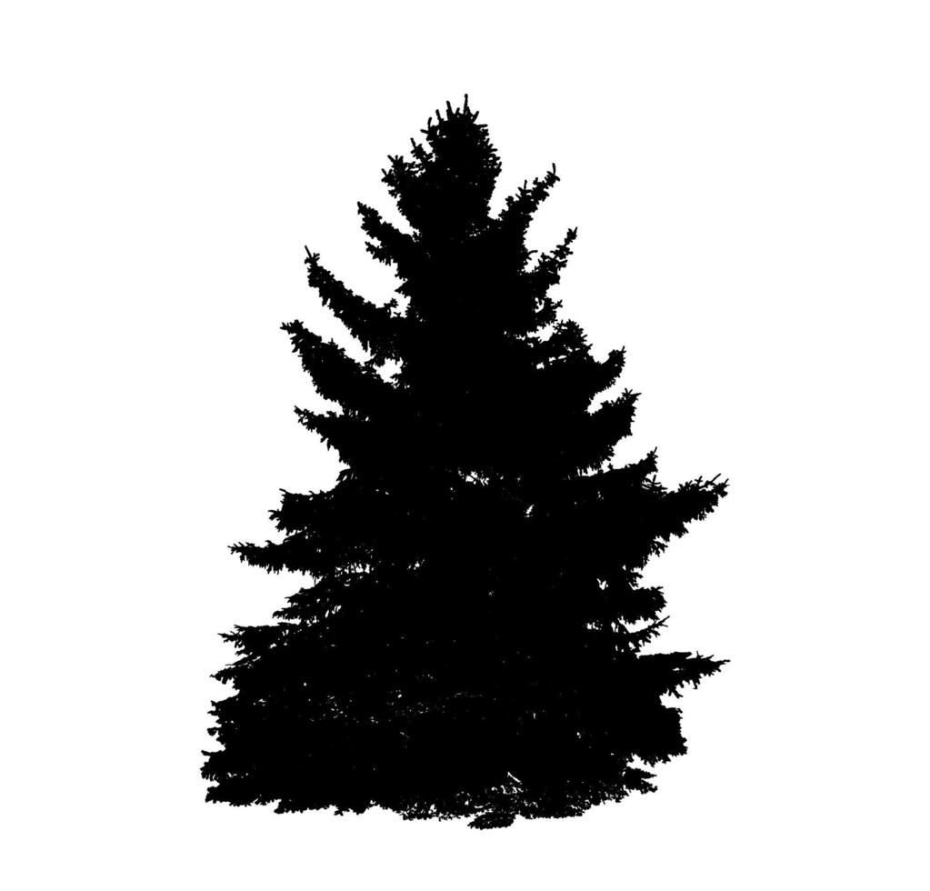 Tree Silhouette Isolated on White Backgorund. Vecrtor Illustration. vector