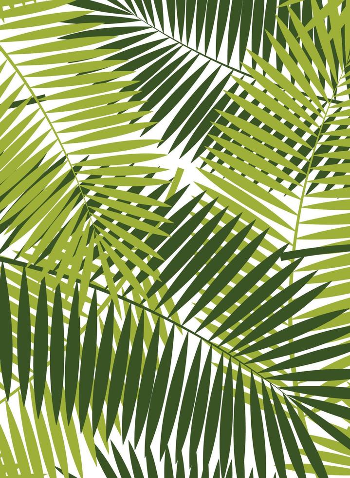 Palm Leaf Vector Frame Background Illustration