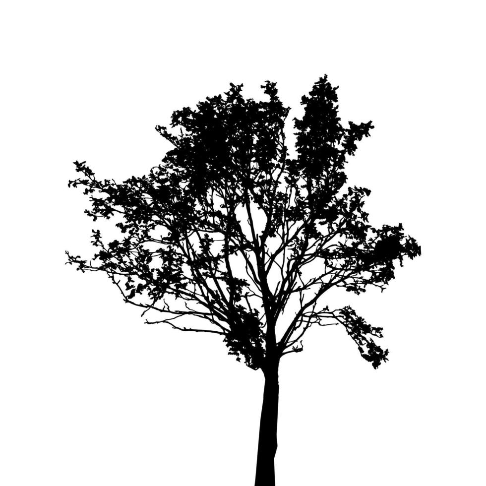 Tree Silhouette Isolated on White Backgorund. Vecrtor Illustration. vector