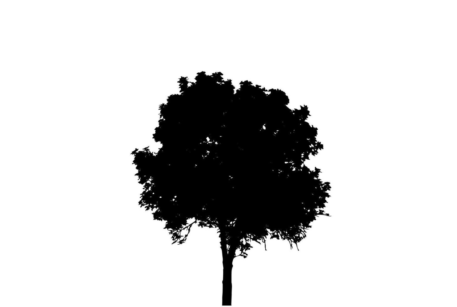 Tree Silhouette Isolated on White Backgorund. Vecrtor Illustration. vector