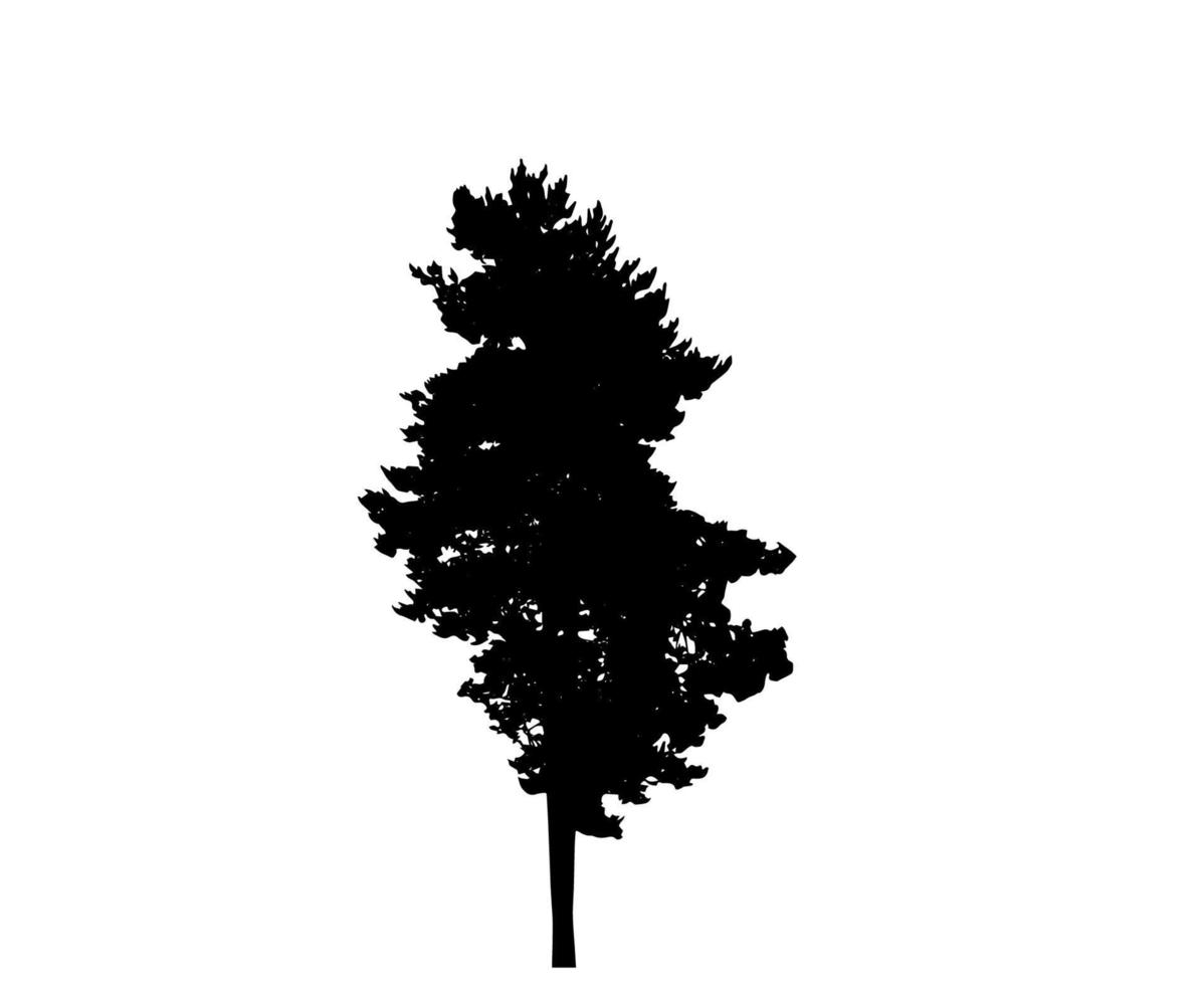 Tree Silhouette Isolated on White Backgorund. Vecrtor Illustration. vector