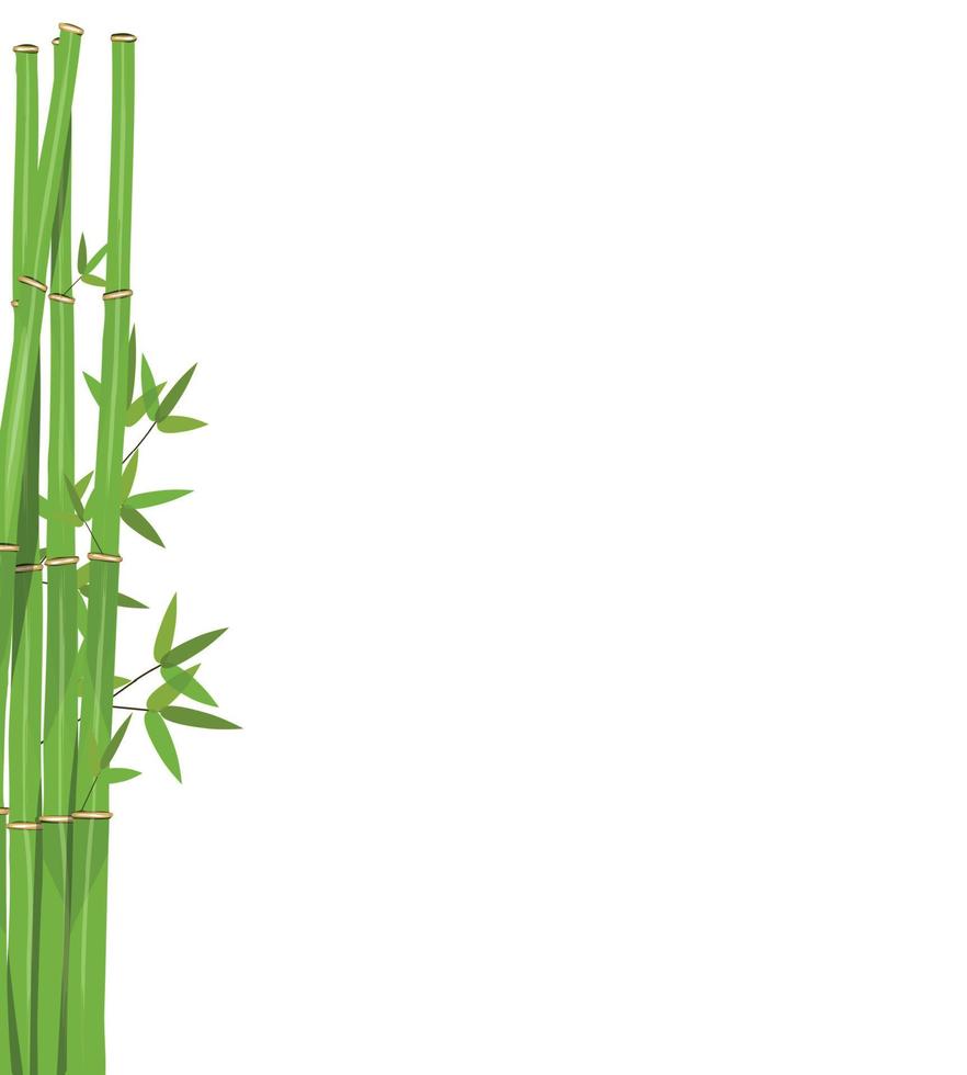 tallos de colores y hojas de bambú. ilustración vectorial. vector