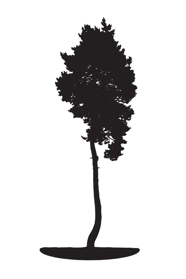 Tree Silhouette Isolated on White Backgorund. Vecrtor Illustration. vector