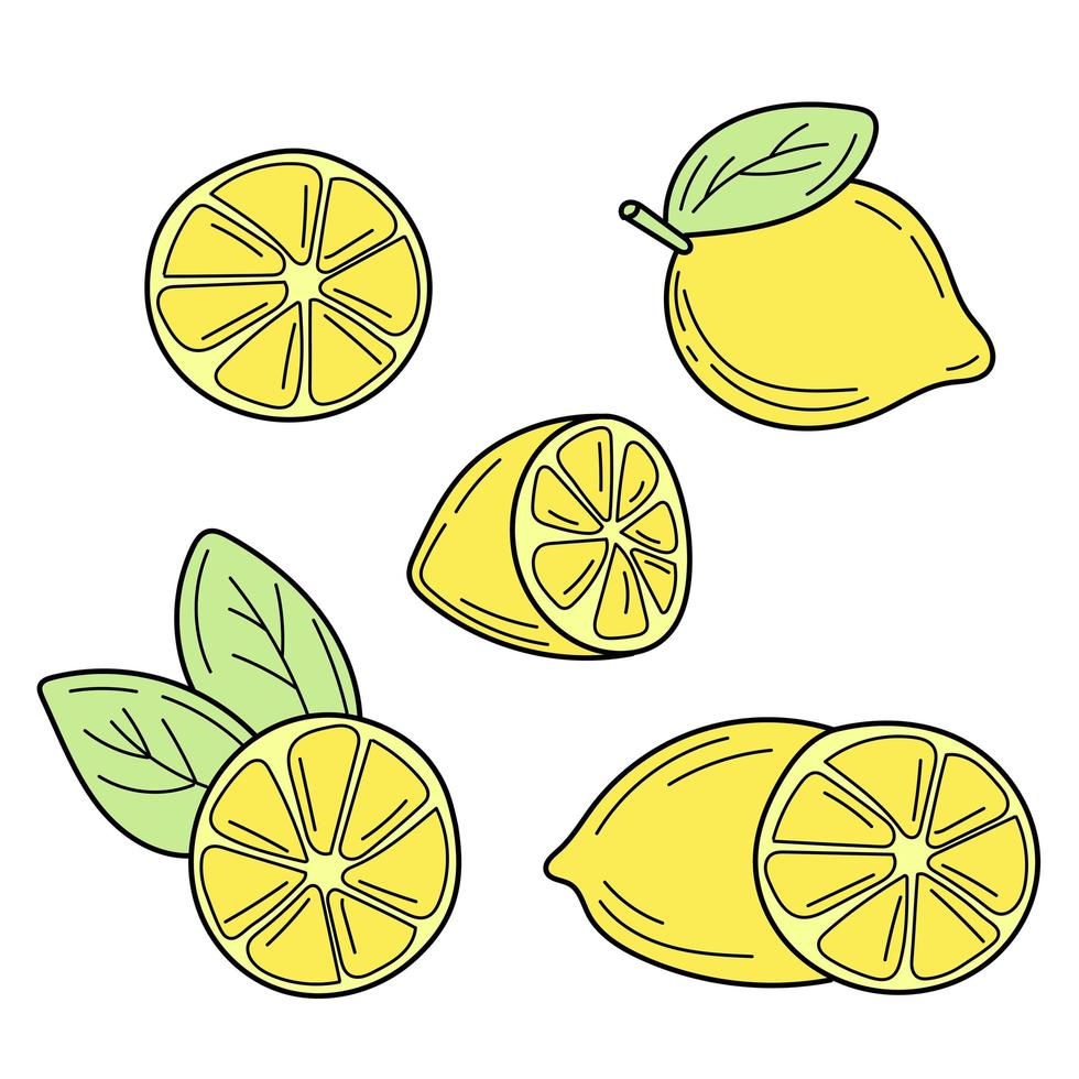 Vector hand drawn lemon. Tropical fruit. Sketch. Doodle. Summer design