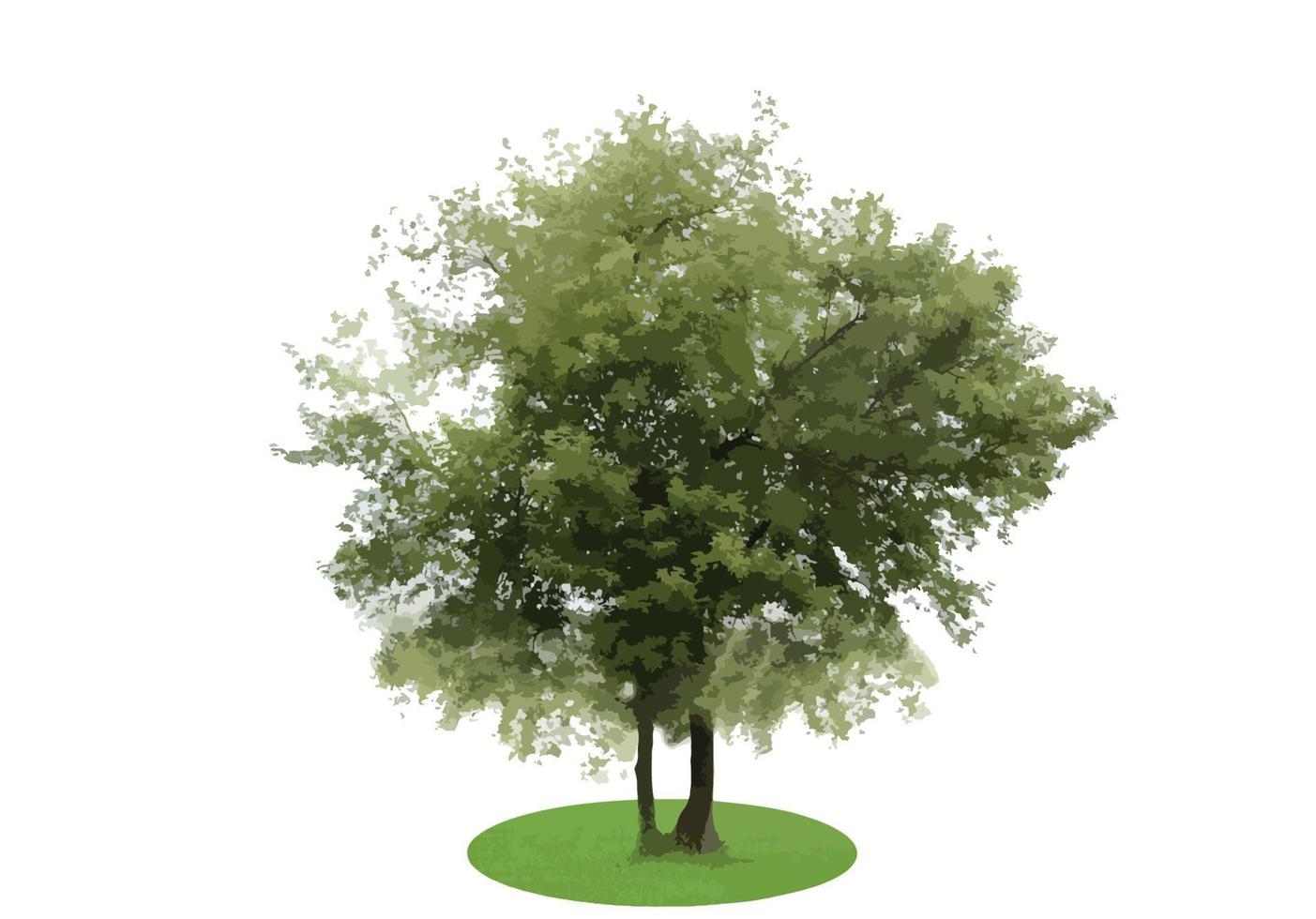 árbol de silueta de color aislado sobre fondo blanco. vecrtor ilustración. vector