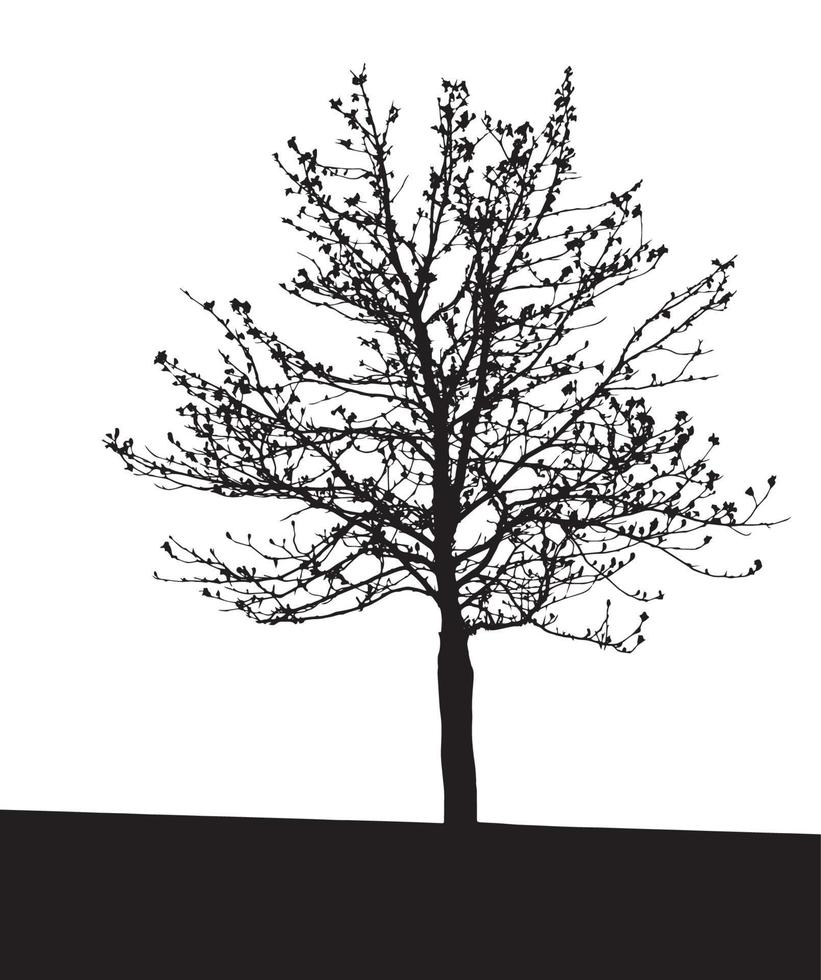 Tree Silhouette Isolated on White Backgorund. Vecrtor Illustration. vector