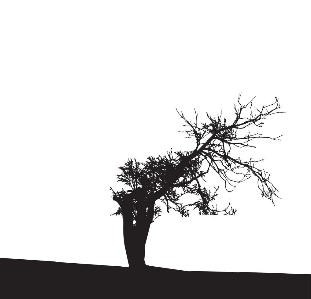 Tree Silhouette Isolated on White Backgorund. Vecrtor Illustration. vector