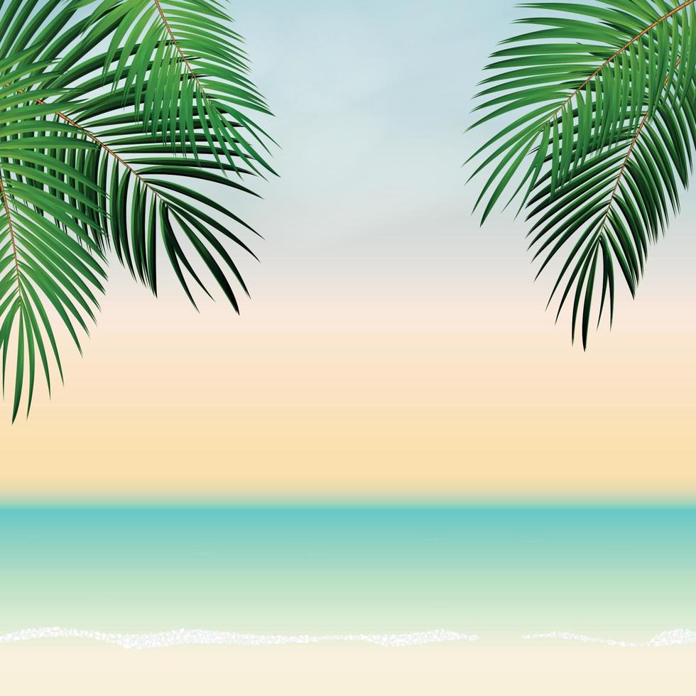 Summer Time Palm Leaf Vector Background Illustration