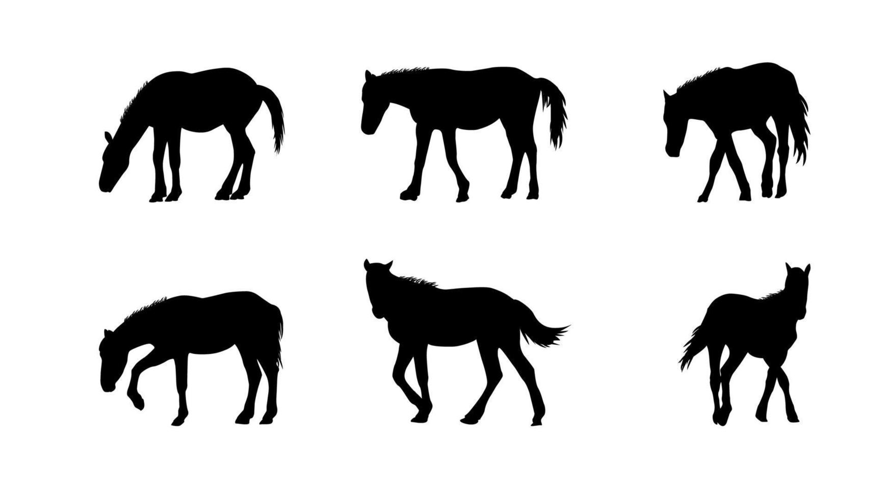 Horse Runs, Hops, Gallops Isolated on White Background vector