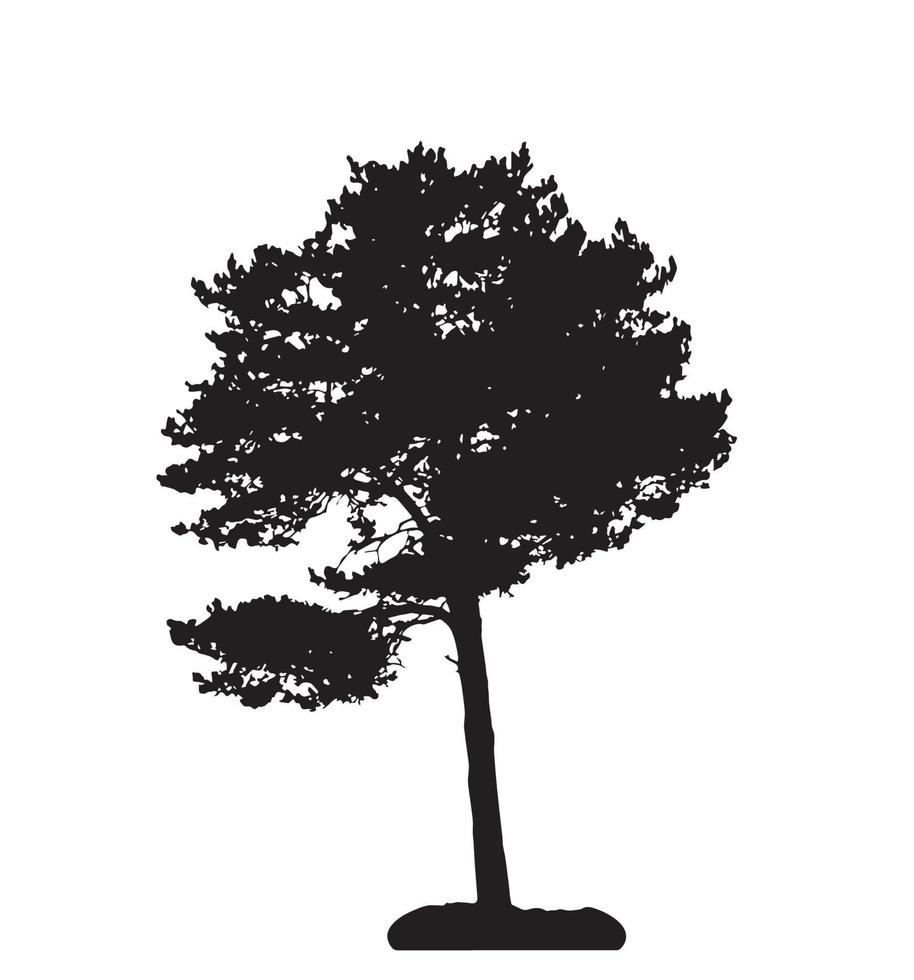 Tree Silhouette Isolated on White Backgorund. Vecrtor Illustration vector