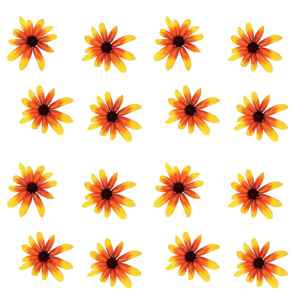 equinácea amarilla colorida sobre fondo blanco. patrón sin costuras. ilustración vectorial vector
