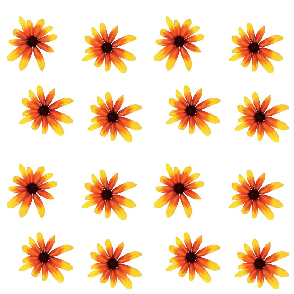 Colorful yellow echinacea on white background. Seamless pattern. Vector illustration