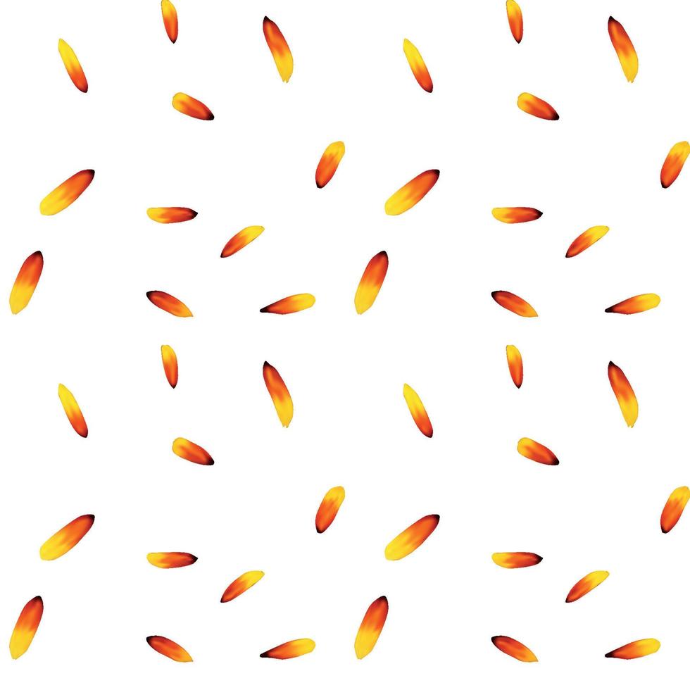 Colorful yellow echinacea on white background. Seamless pattern. Vector illustration
