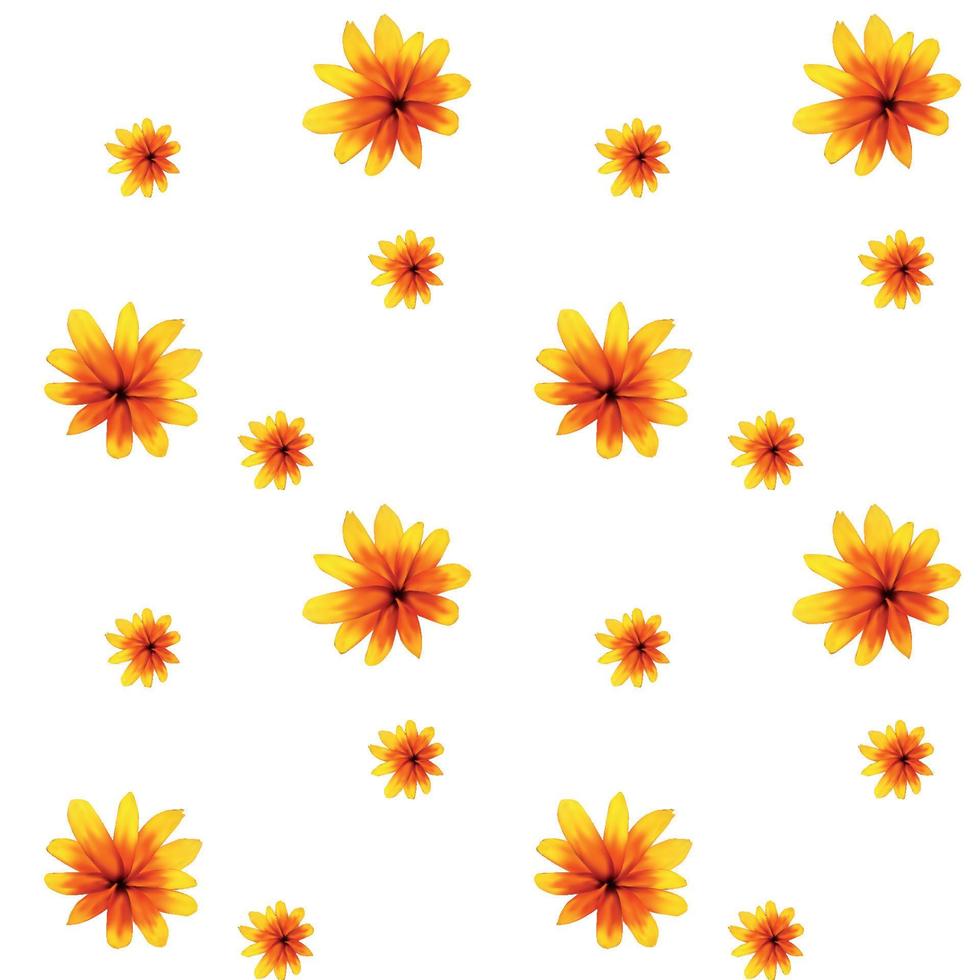 Colorful yellow echinacea on white background. Seamless pattern. Vector illustration
