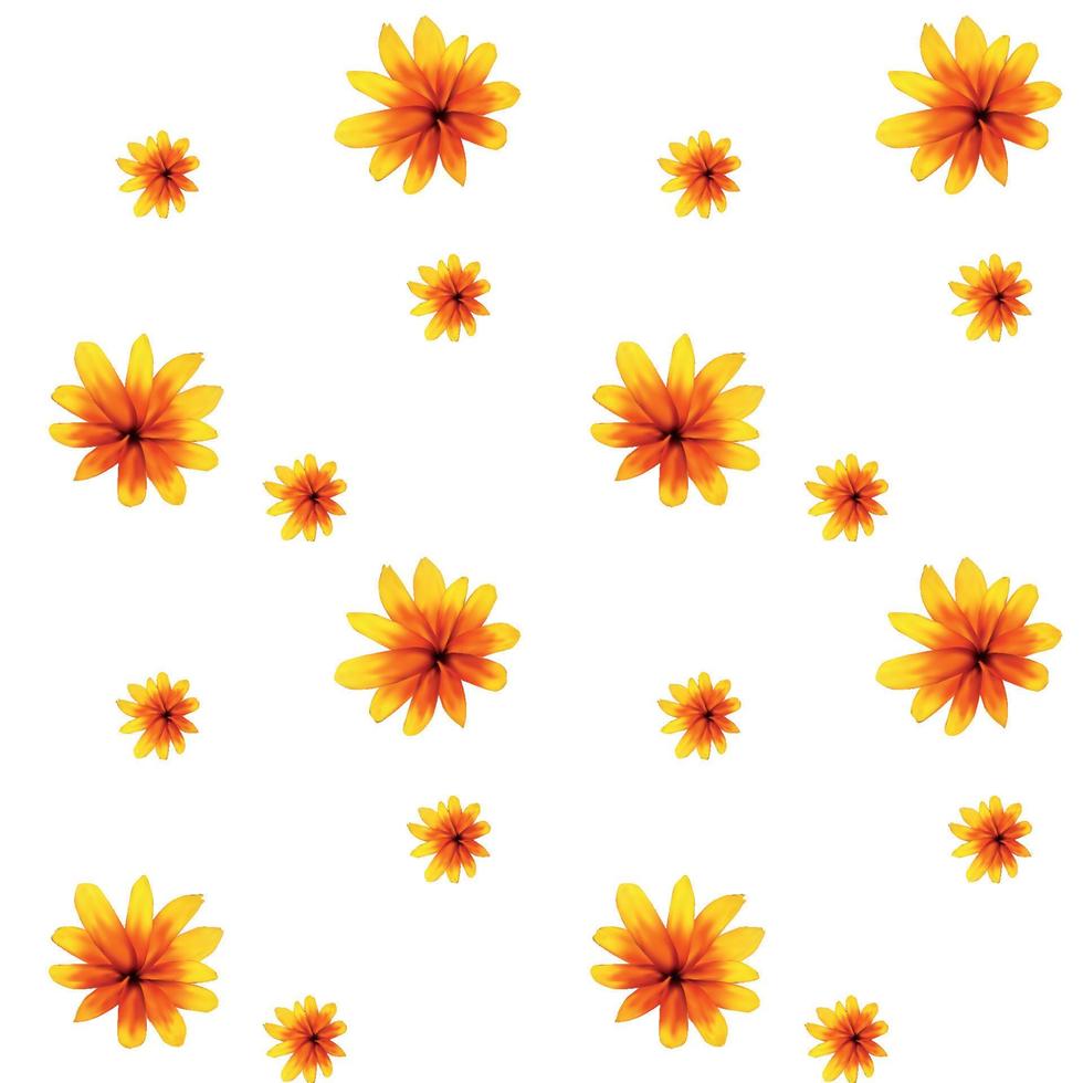 Colorful yellow echinacea on white background. Seamless pattern. Vector illustration