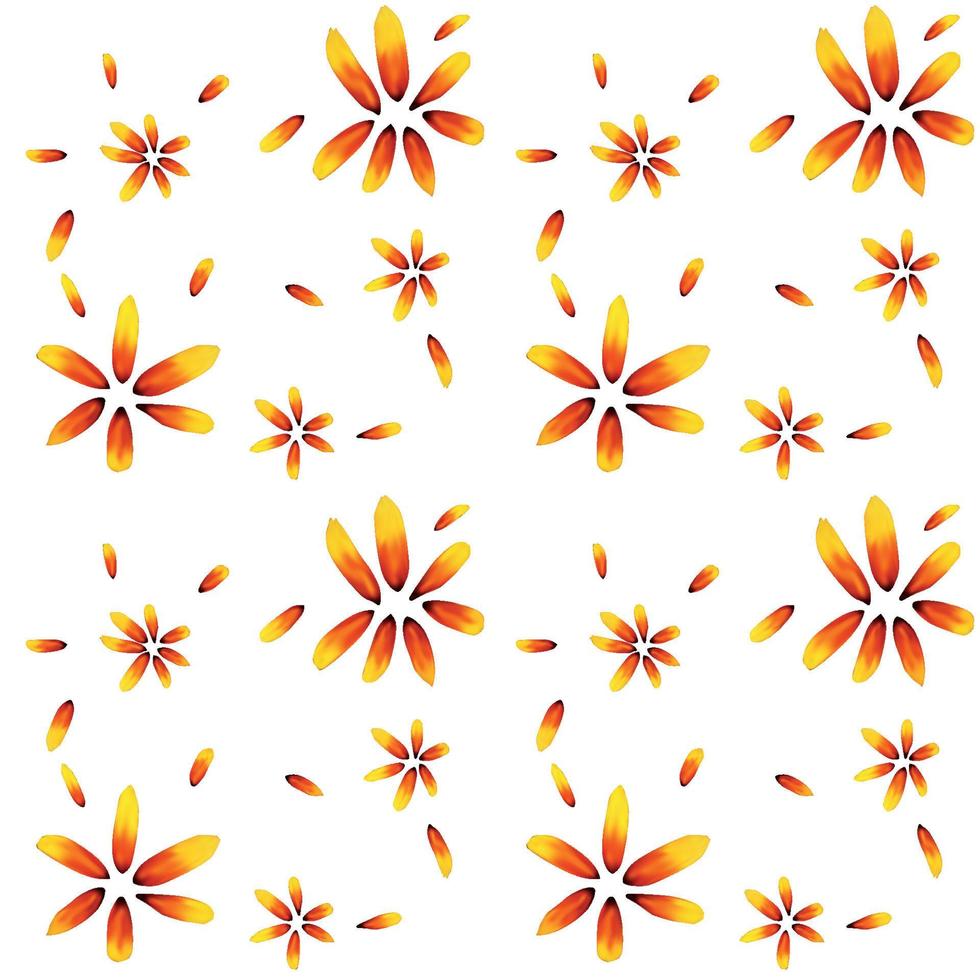 Colorful yellow echinacea on white background. Seamless pattern. Vector illustration