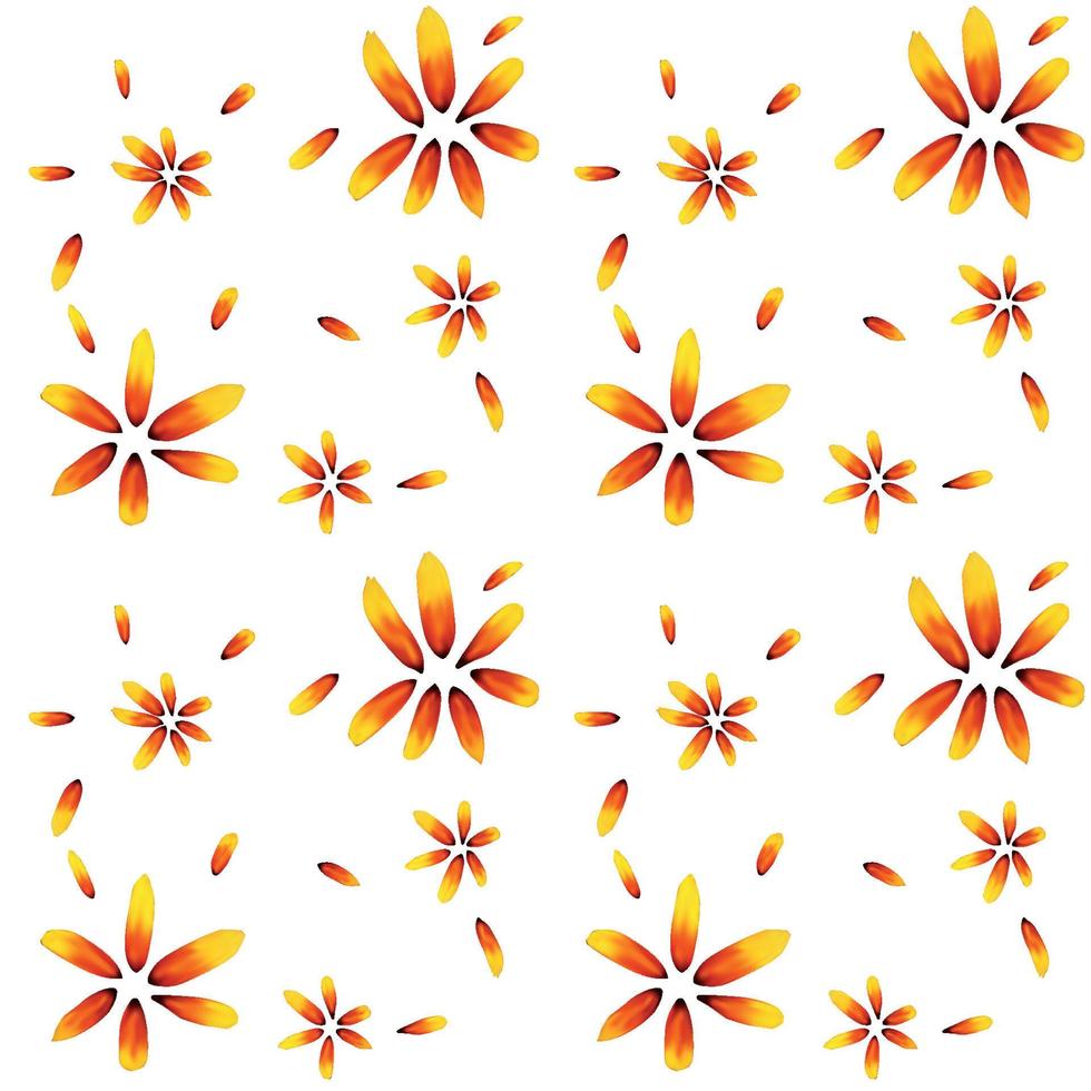 Colorful yellow echinacea on white background. Seamless pattern. Vector illustration