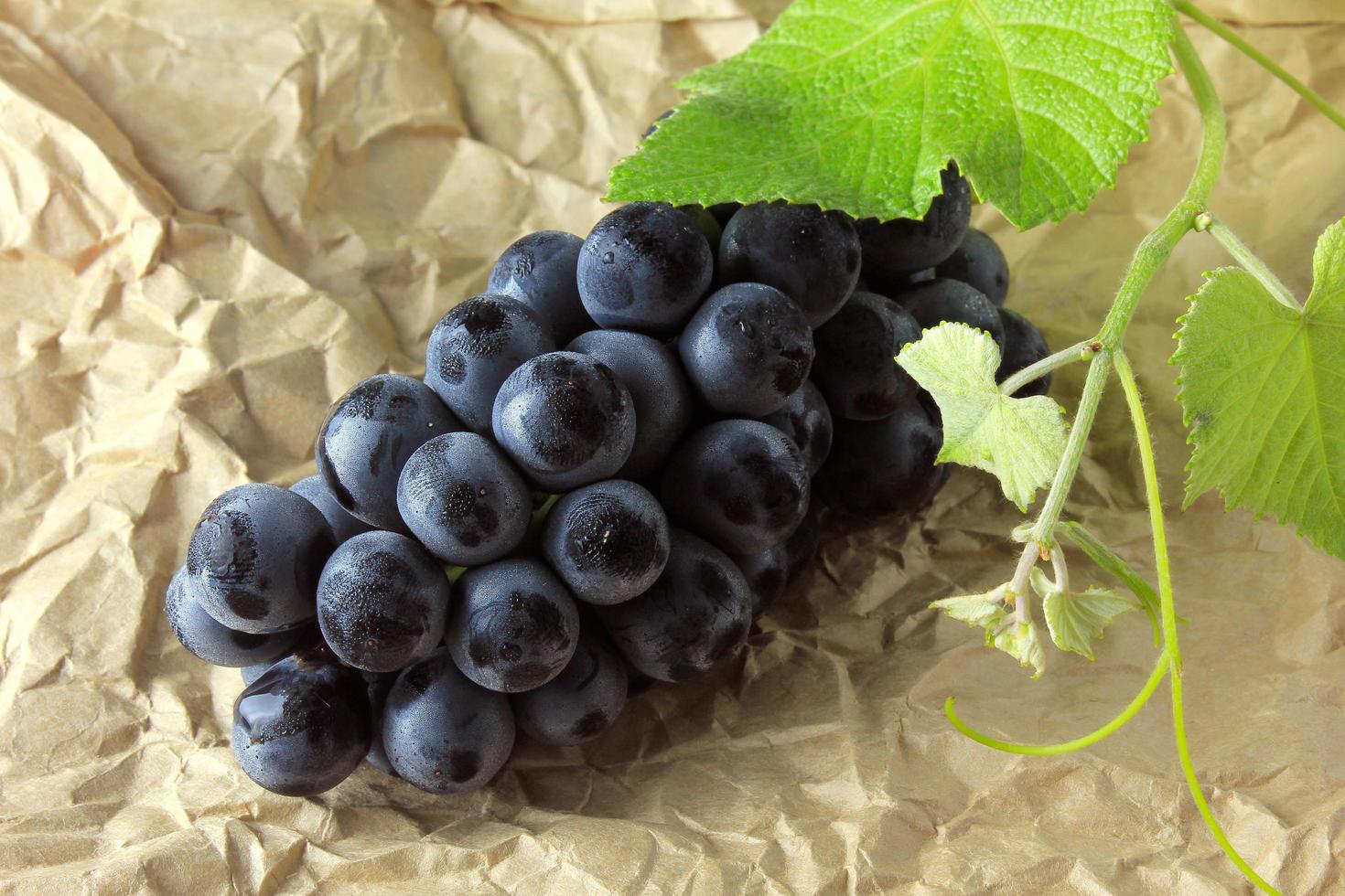 bunches of fresh grapes, with branches and leaves, on paper, rustic wooden table photo