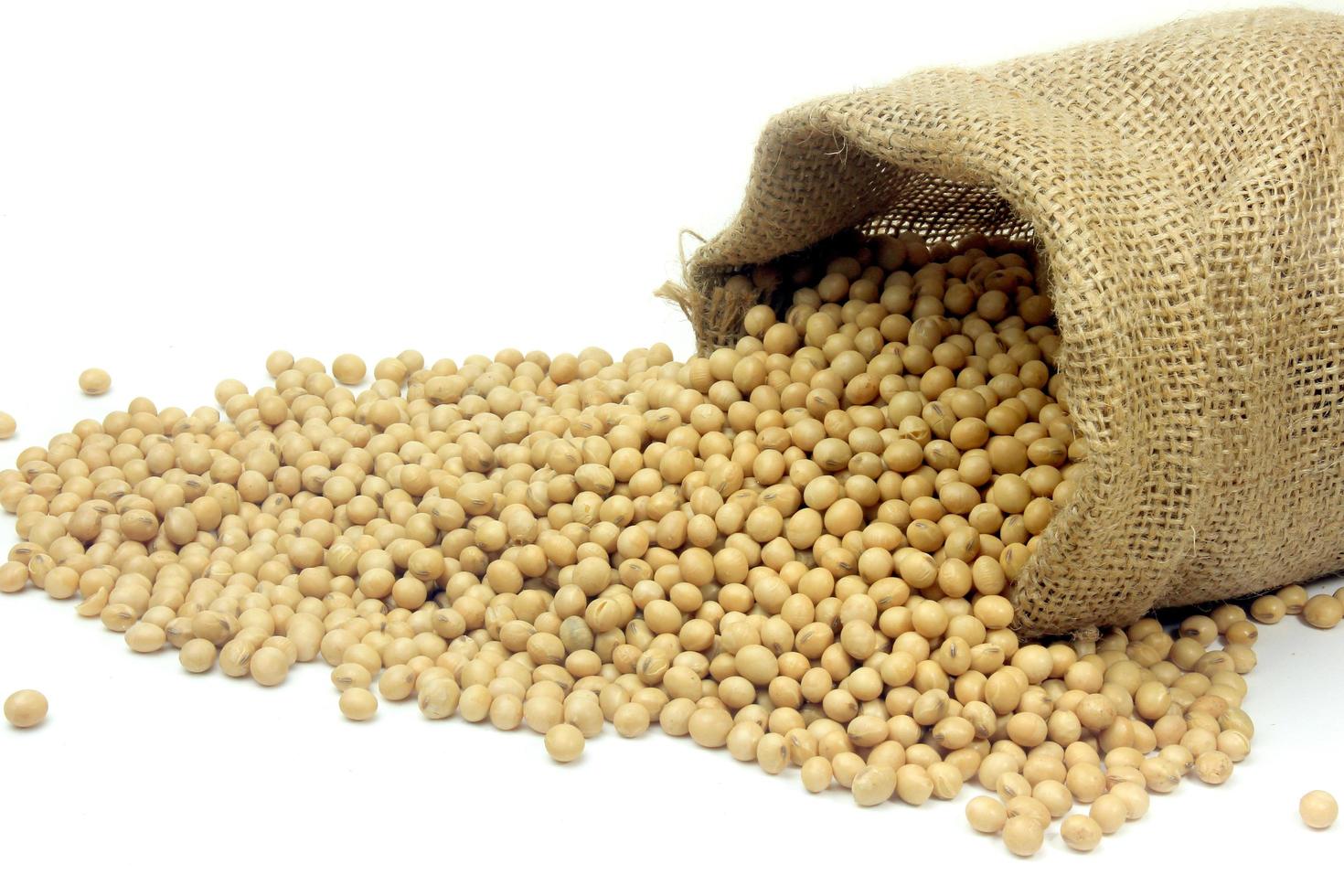 Raw soy beans, fresh and organic food, rustic bag inside isolated on white background photo