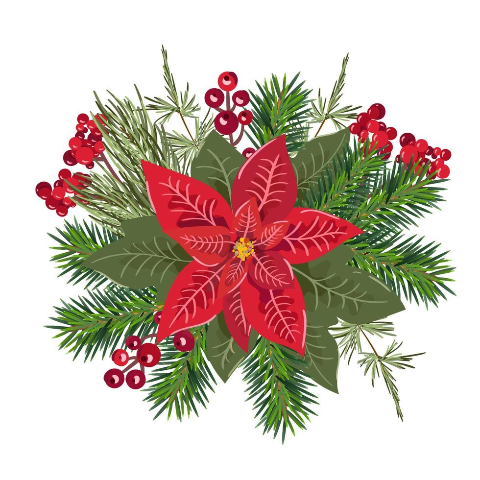 Vector winter Poinsettia Christmas Star flower with red berries. Web and mobile application design style illustration isolated on white background