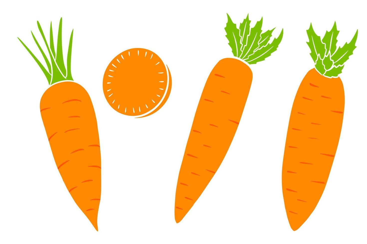 Carrot set. Fresh carrots and slices. In a cartoon style. vector