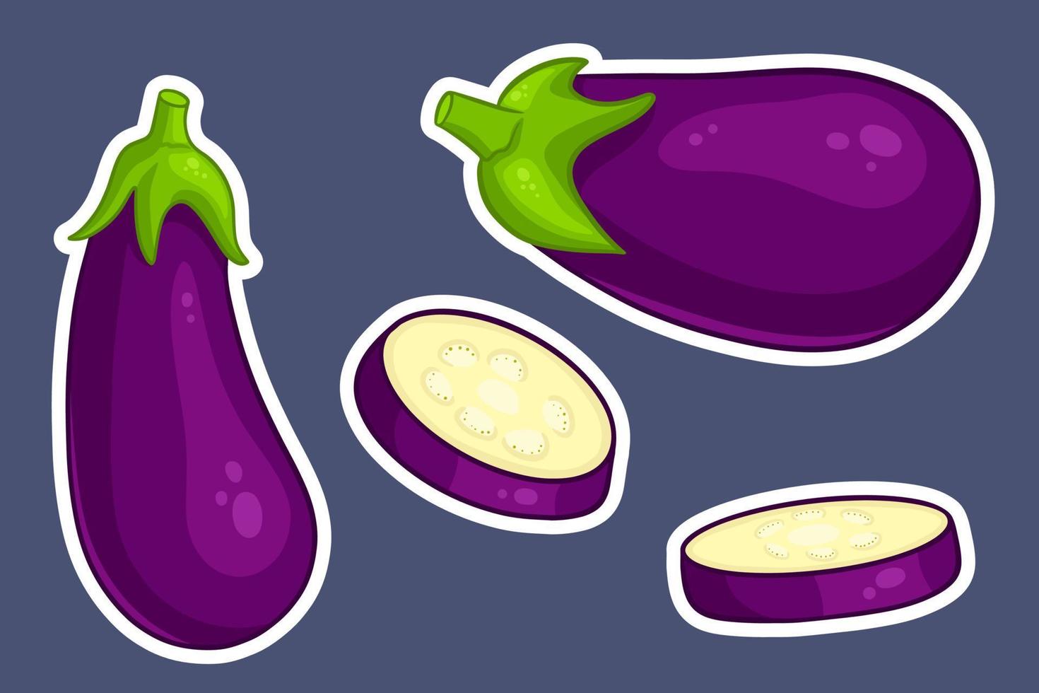 Eggplant set. Whole eggplant and cut wedges. vector