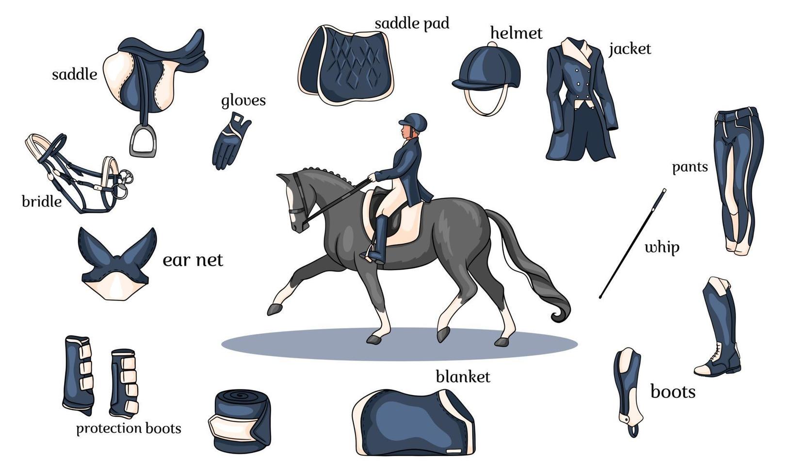 Infografía de deportes ecuestres arnés de caballos y equipo de jinete en el centro de un jinete sobre un caballo en estilo de dibujos animados vector