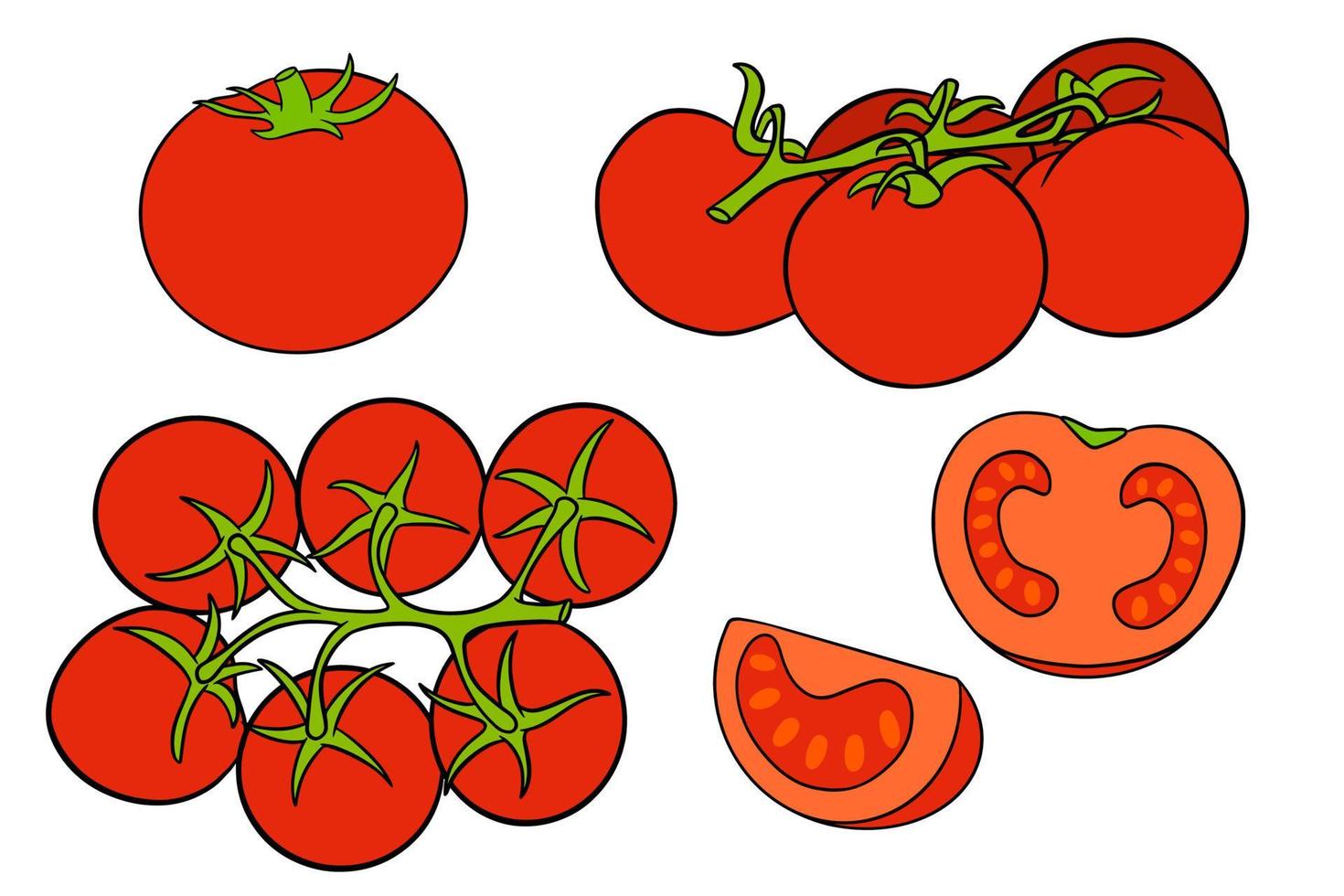 Tomatoes set. Fresh tomatoes, tomatoes on a branch, a wedge and a half. vector