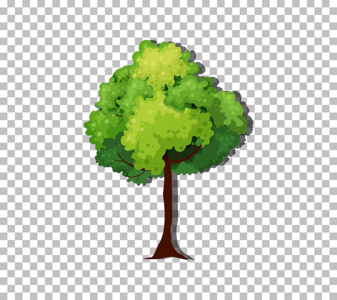 árbol en el fondo de la cuadrícula vector