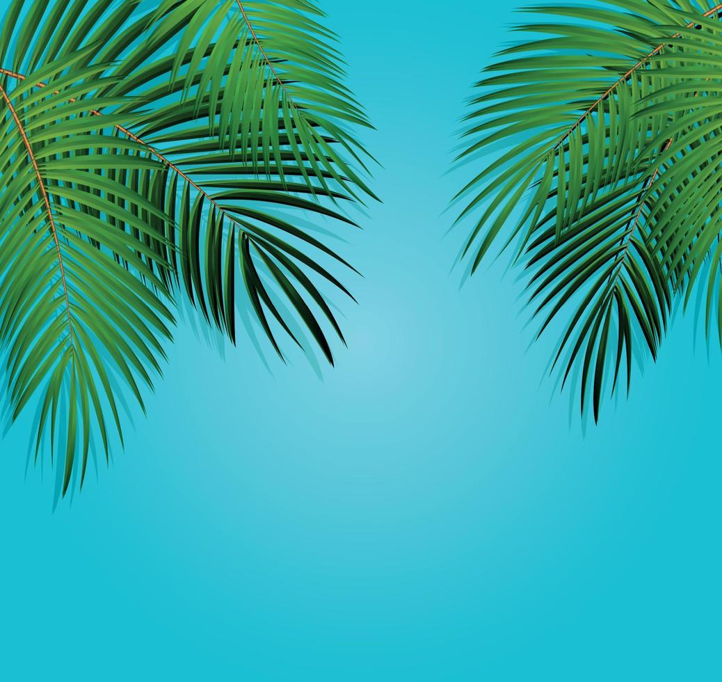 Palm Leaf Vector Background Illustration