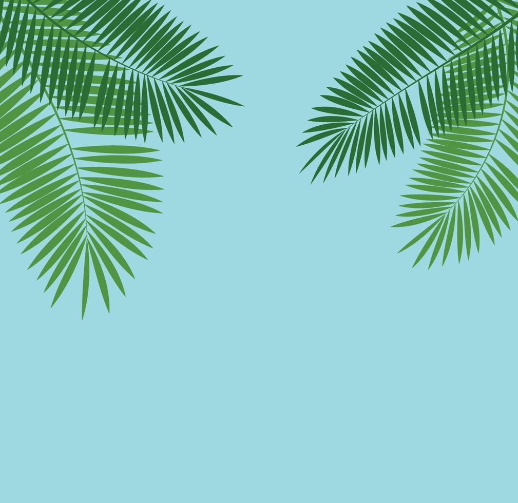 Palm Leaf Vector Background Illustration