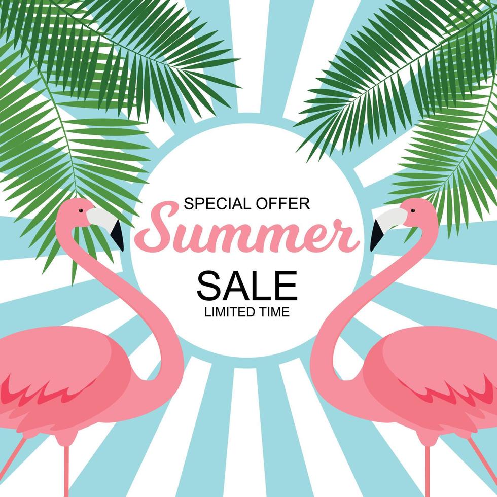 Summer Sale concept with Colorful Cartoon Pink Flamingo Background. Vector Illustration