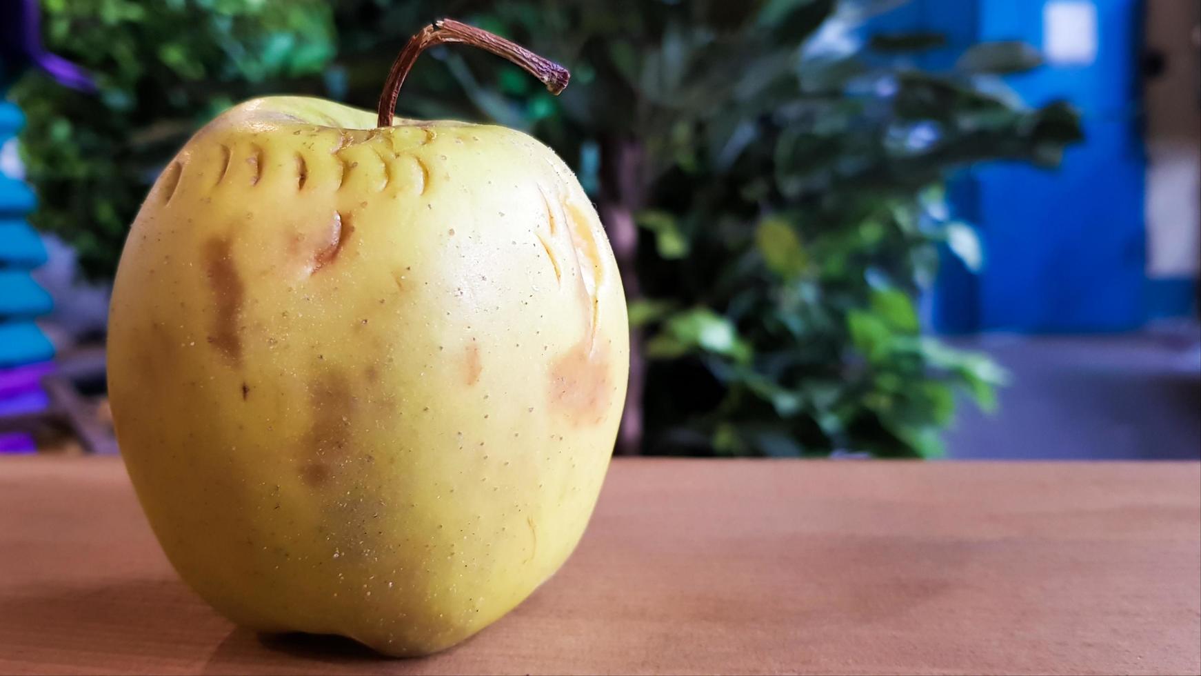 green rotten apple on a wood background. Green apple on a old wooden background, top view. Organic juicy bio apple ugly, with defects edible lies on a wooden table. No ugly food photo