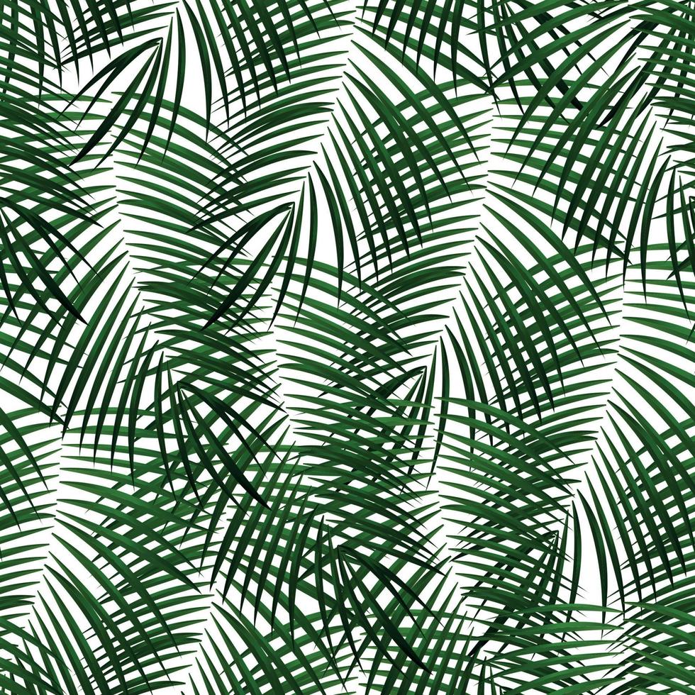 Palm Leaf Vector Background Illustration