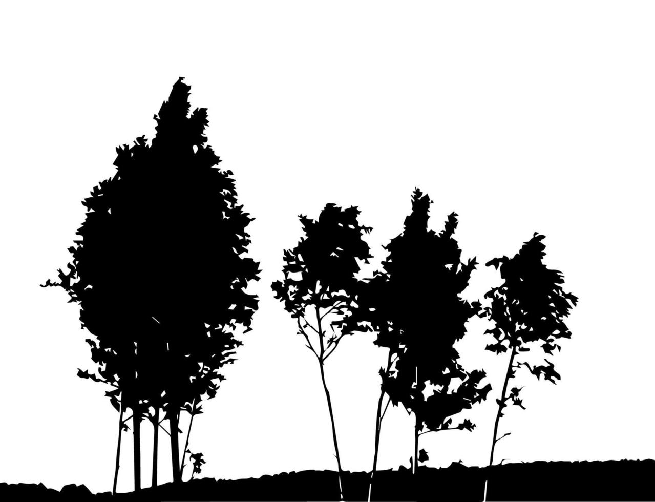 Tree Silhouette Isolated on White Backgorund. Vecrtor Illustration vector