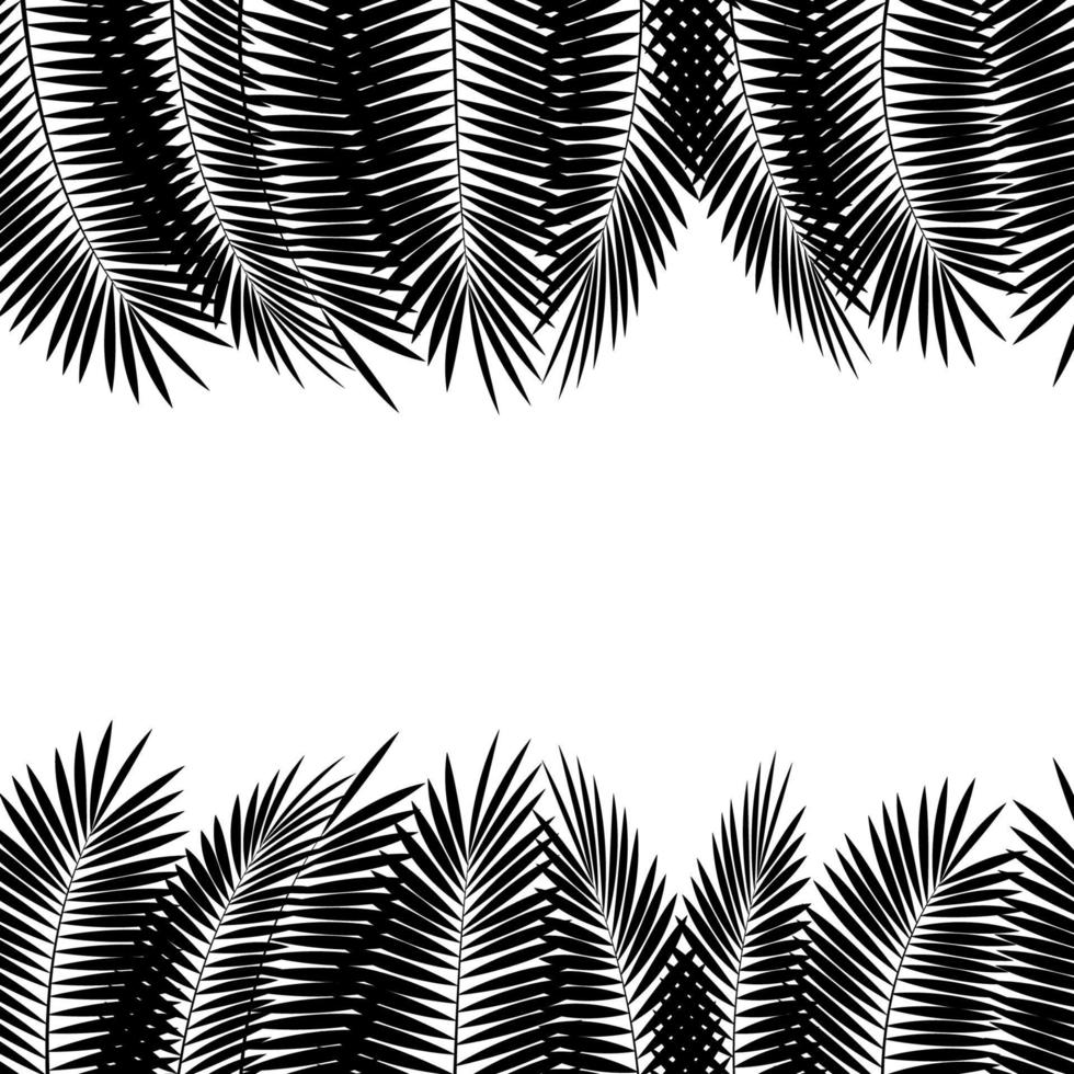 hoja de palma negra sobre fondo blanco. ilustración vectorial vector