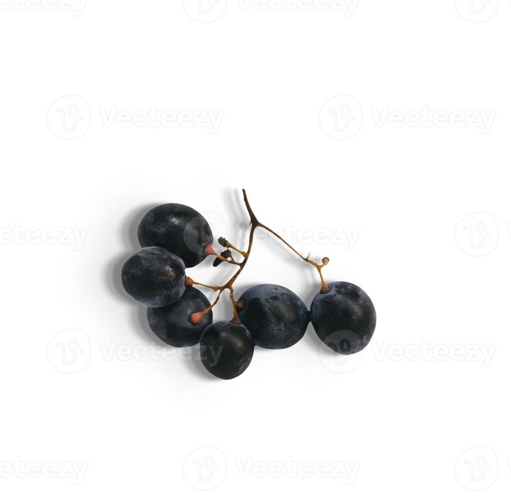 Close up view of fresh dark purple grapes isolated on white background. added copy space for text. photo