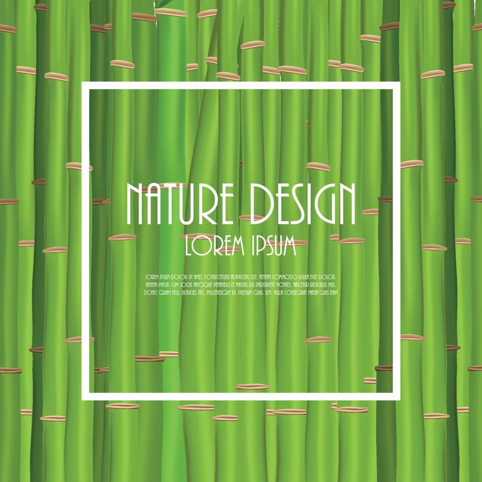 Colorful Stems and Bamboo Leaves Background. Vector Illustration