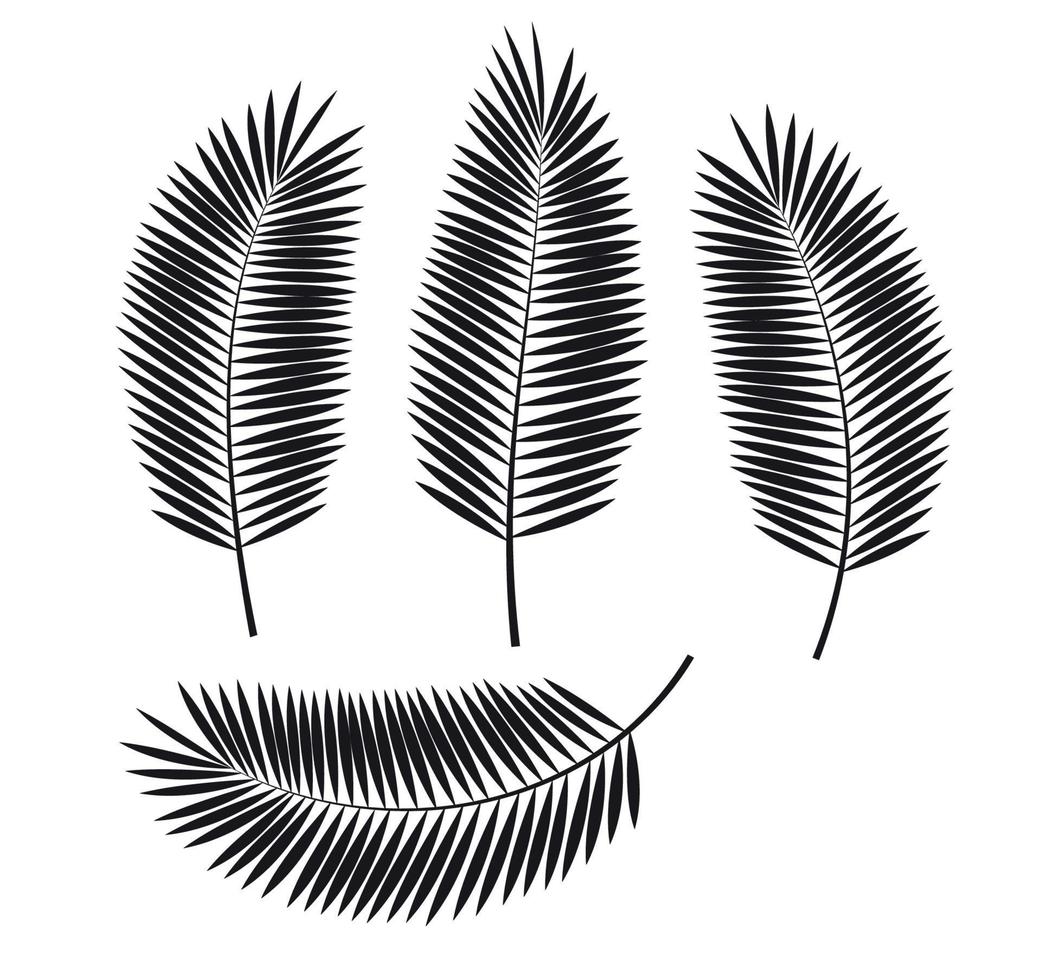 Palm Leaf Vector Illustration