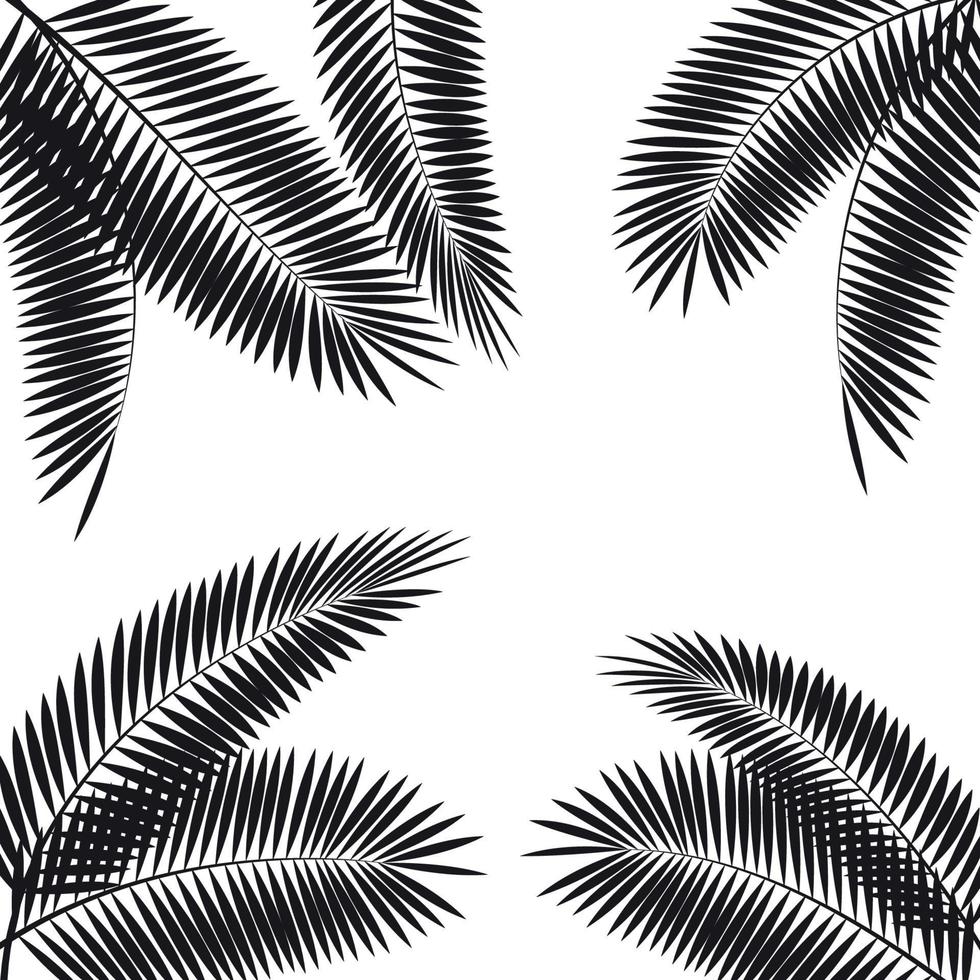 Palm Leaf Vector Illustration