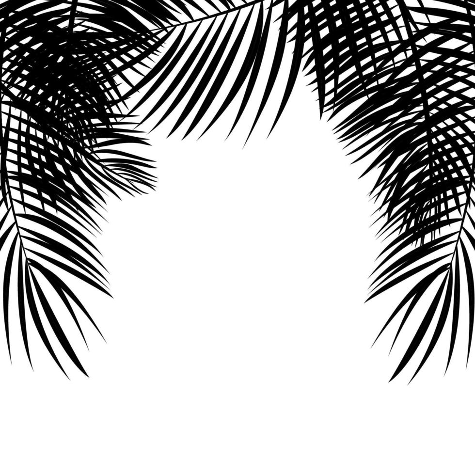 marco con ilustración aislada de fondo de vector de hoja de palma