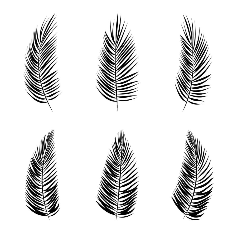 conjunto de ilustración aislada de fondo de vector de hoja de palma