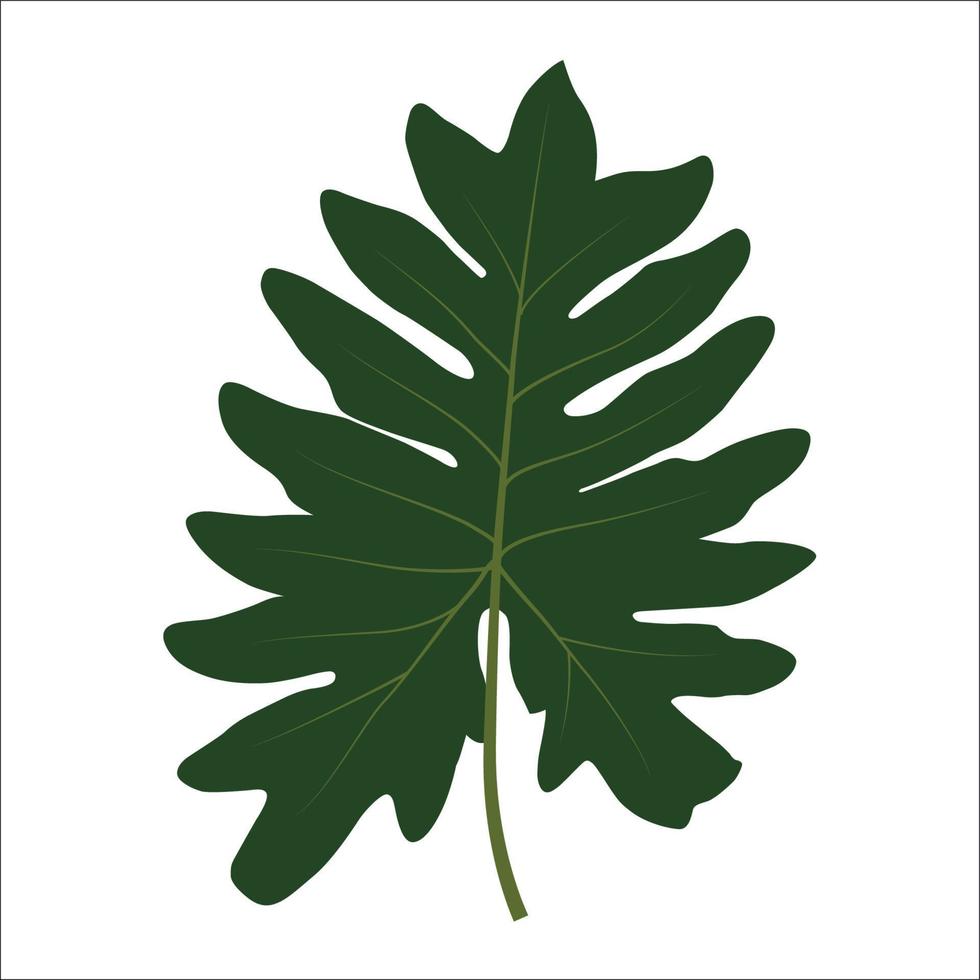 Green leaf on white background. Vector Illustration