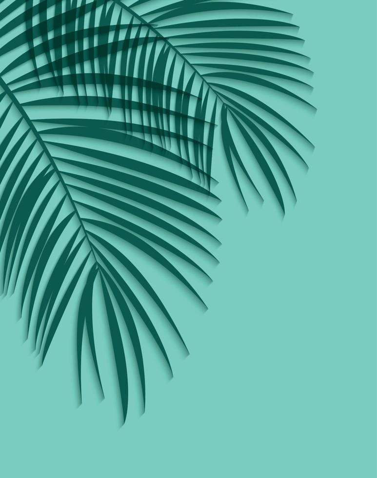 leaf Southern palm vector