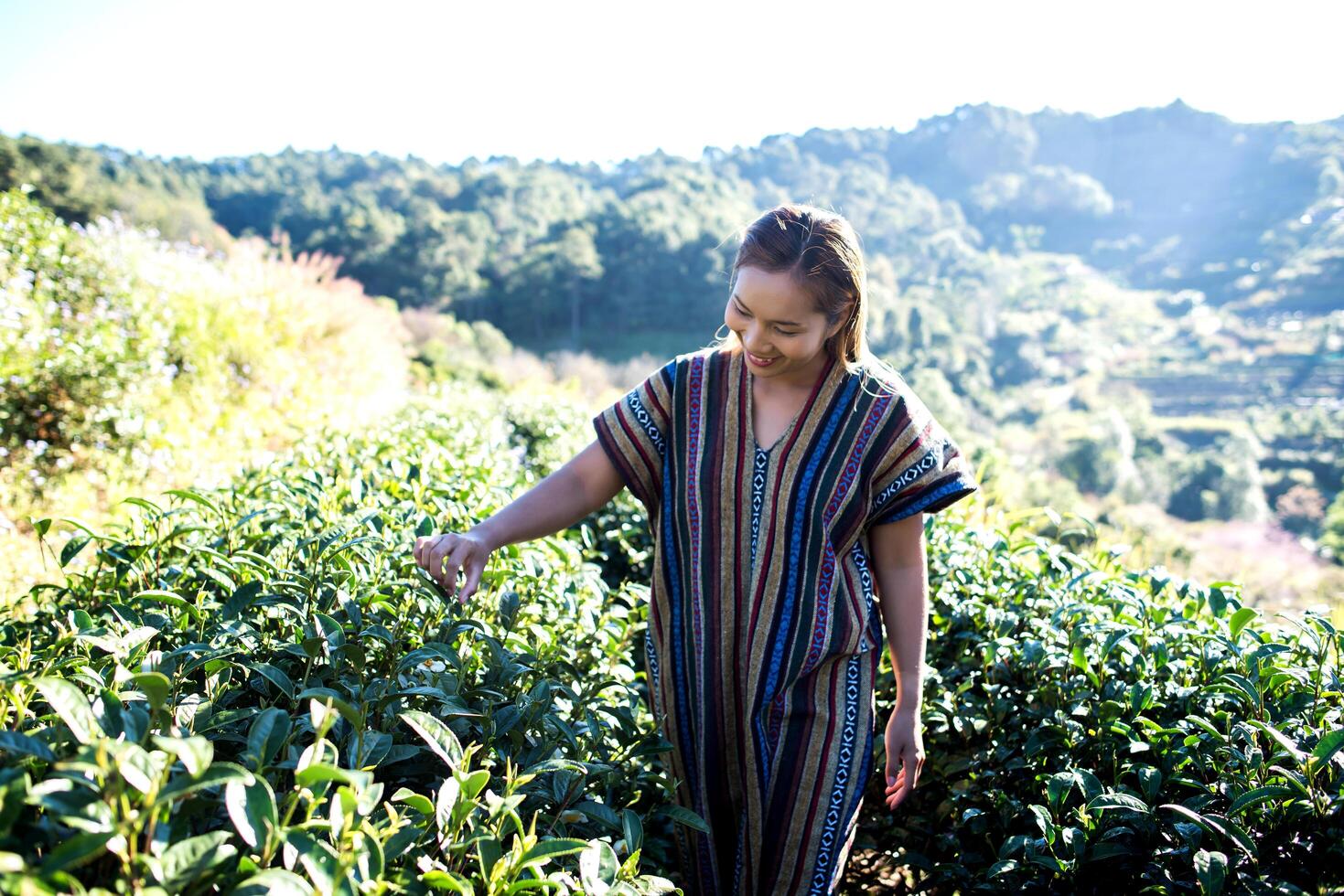 feliz, mujer joven, en, plantación de té foto